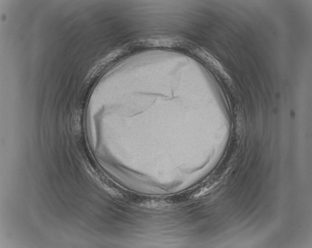 X0000080100537200701051307