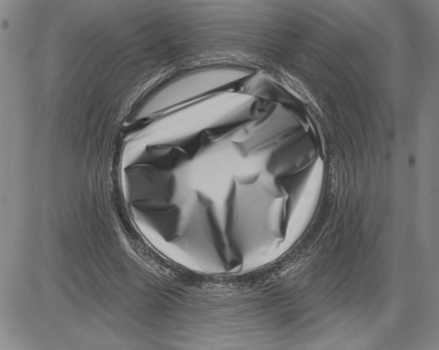 X0000080100538200701051307