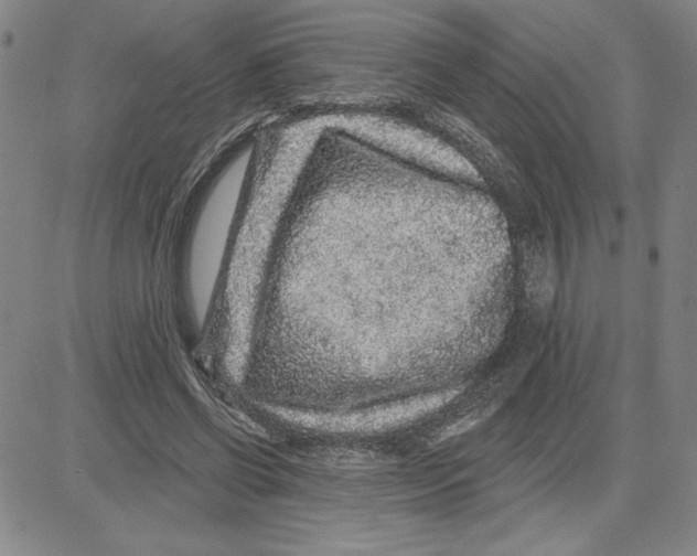 X0000080100542200701051307