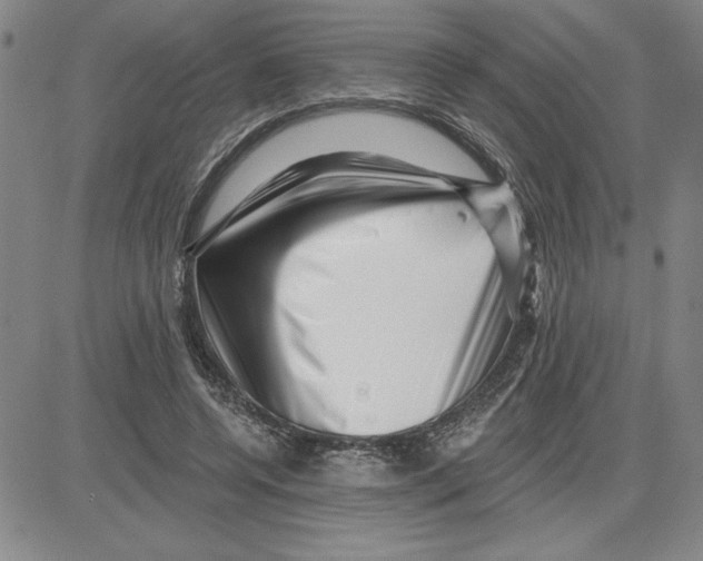 X0000080100544200701051307