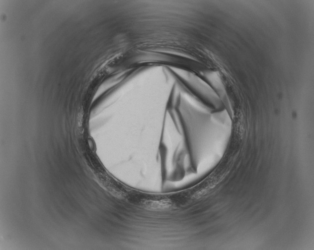 X0000080100548200701051307