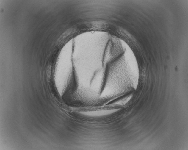 X0000080100554200701051307