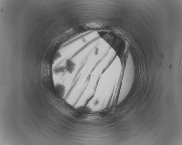 X0000080100555200701051307