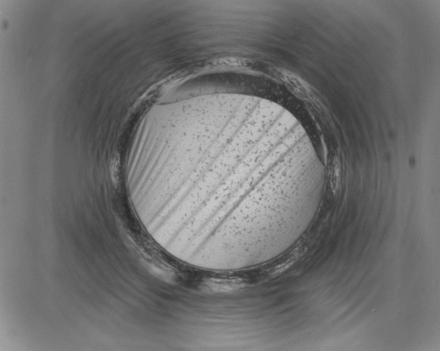 X0000080100556200701051307