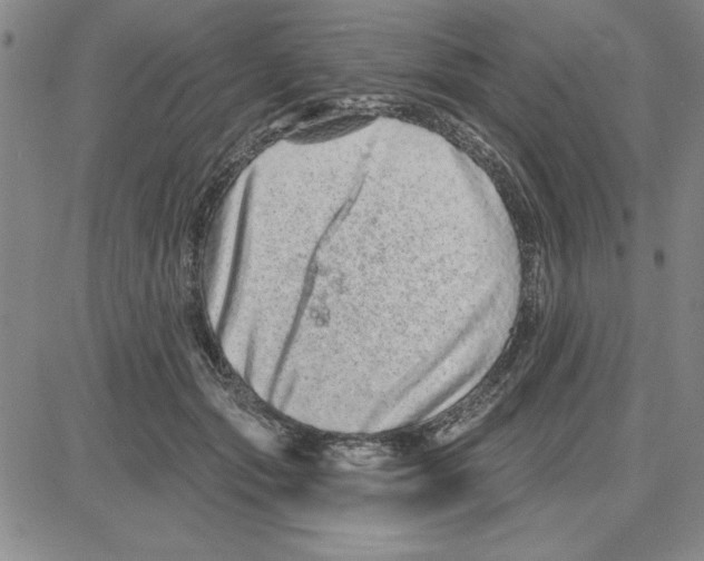 X0000080100557200701051307