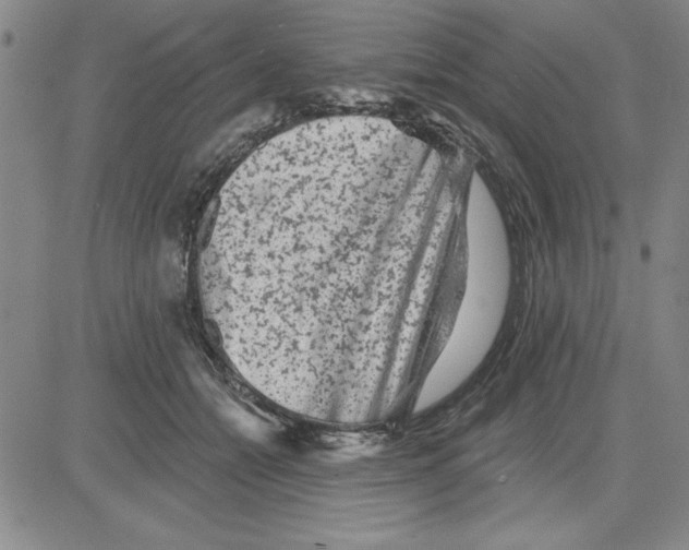 X0000080100558200701051307
