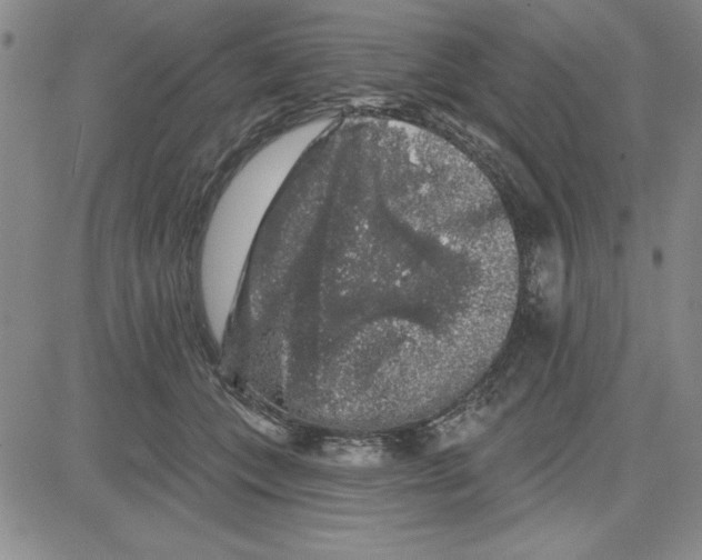 X0000080100559200701051307