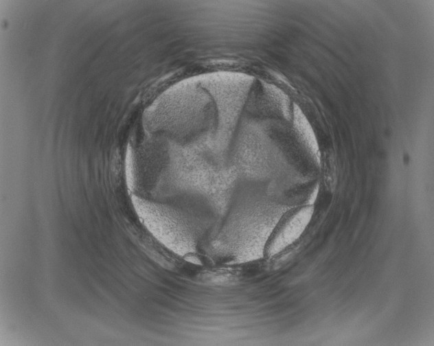 X0000080100563200701051307
