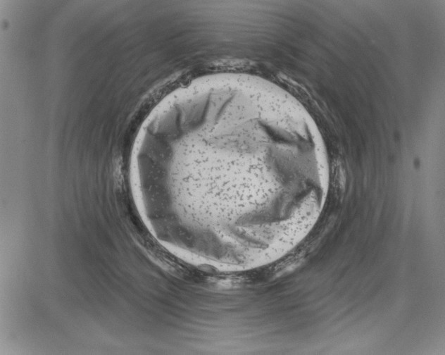 X0000080100564200701051307