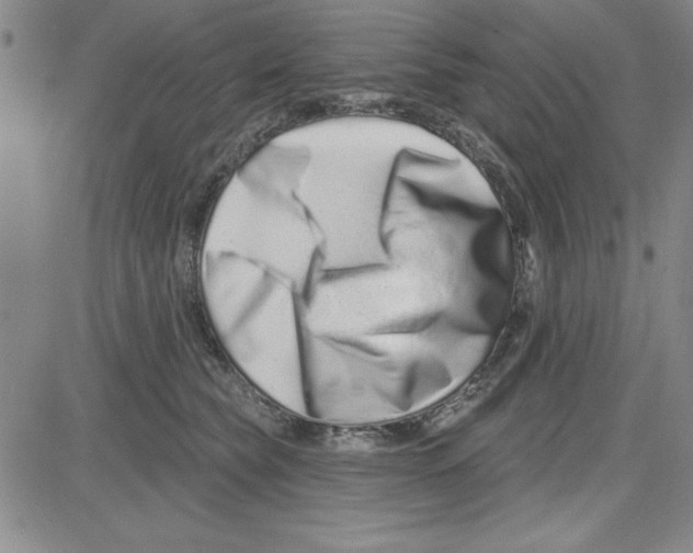 X0000080100565200701051307