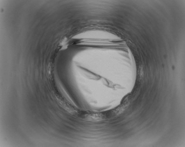 X0000080100567200701051307