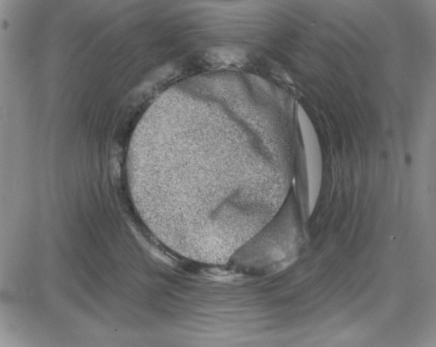 X0000080100570200701051307