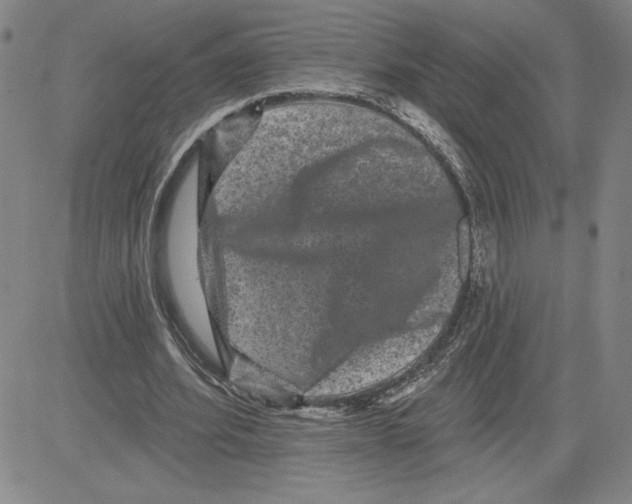X0000080100580200701051307