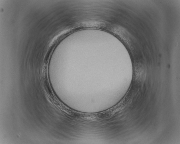 X0000080100583200701051307