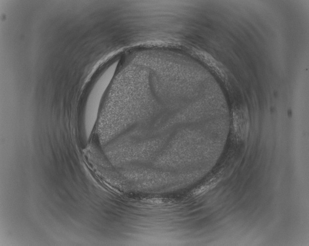 X0000080100588200701051307