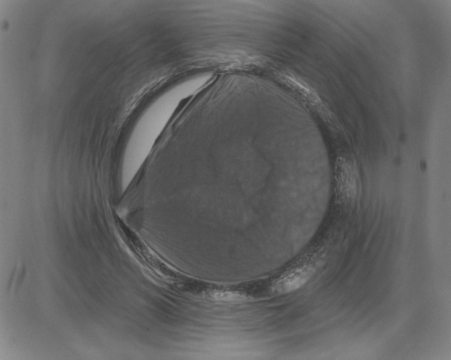 X0000080100590200701051307