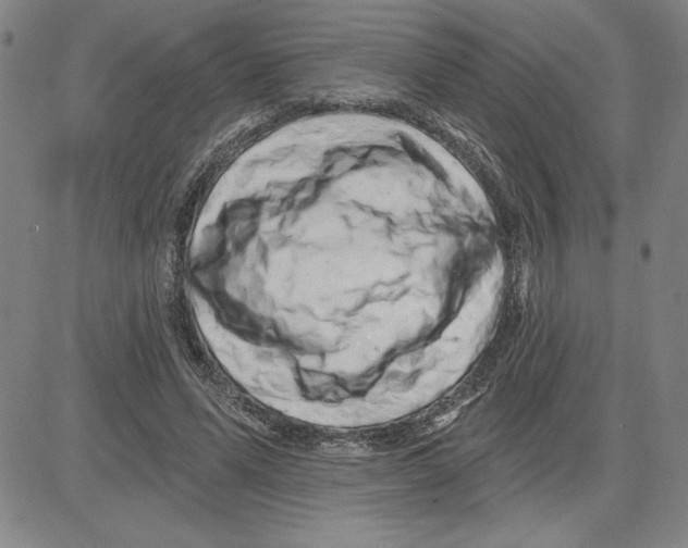 X0000080100591200701051307