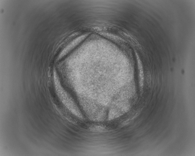 X0000080100594200701051307