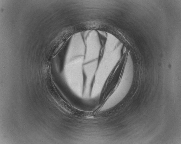 X0000080100601200701051306