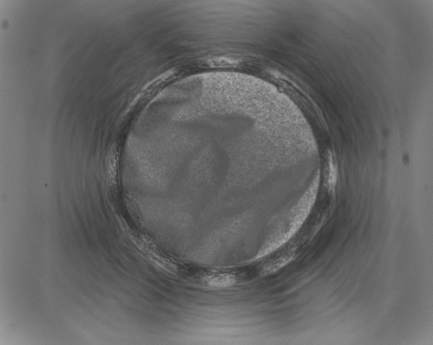 X0000080100604200701051306