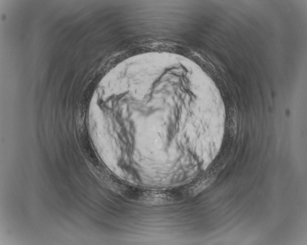 X0000080100607200701051306