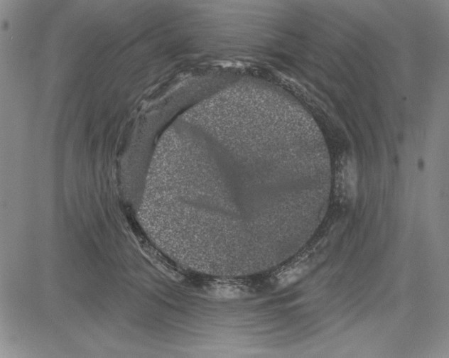 X0000080100608200701051306