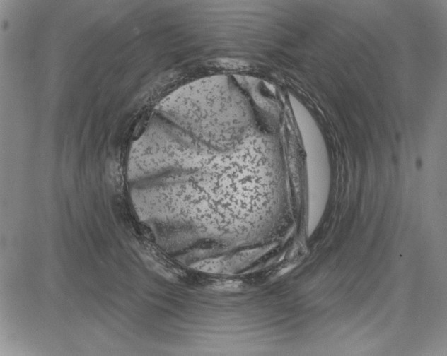 X0000080100609200701051306