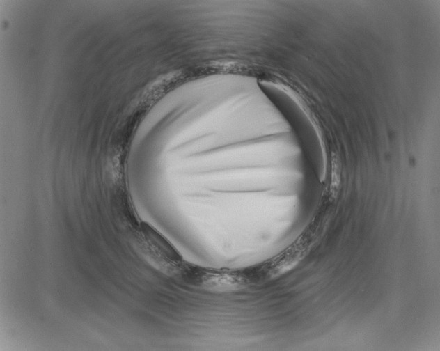 X0000080100611200701051306