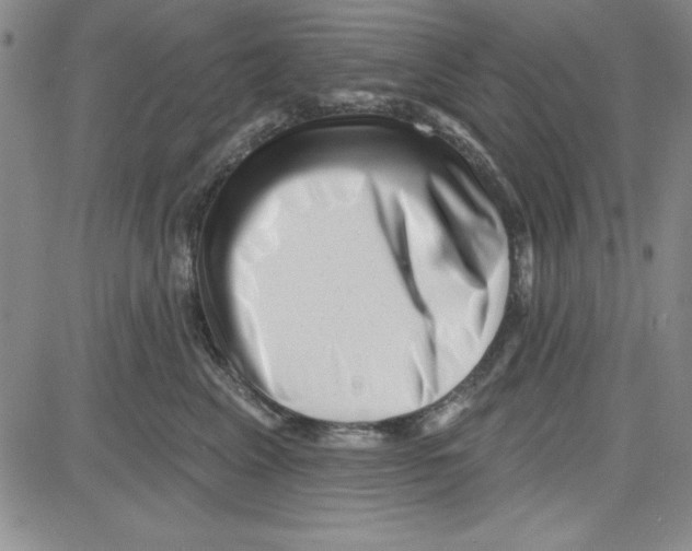 X0000080100617200701051306
