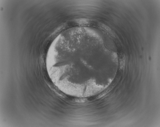 X0000080100618200701051306