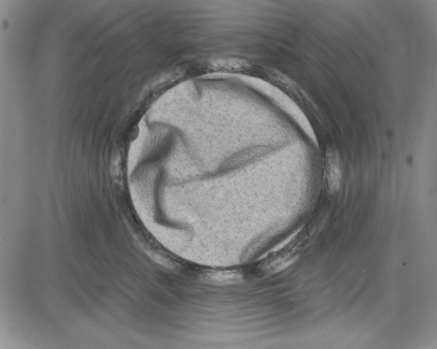 X0000080100619200701051306