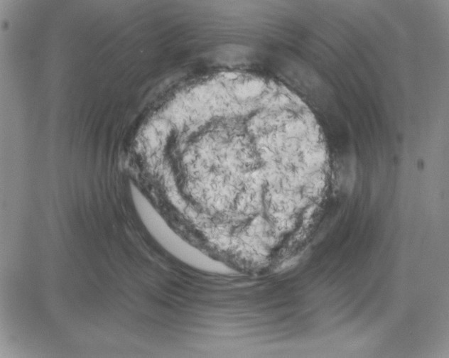 X0000080100623200701051306