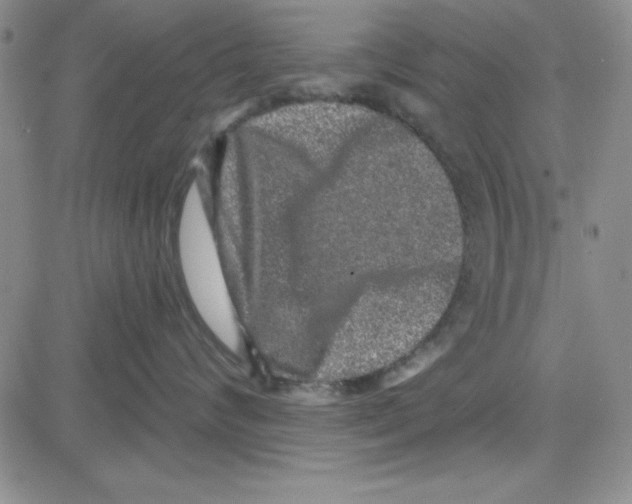 X0000080100624200701051306