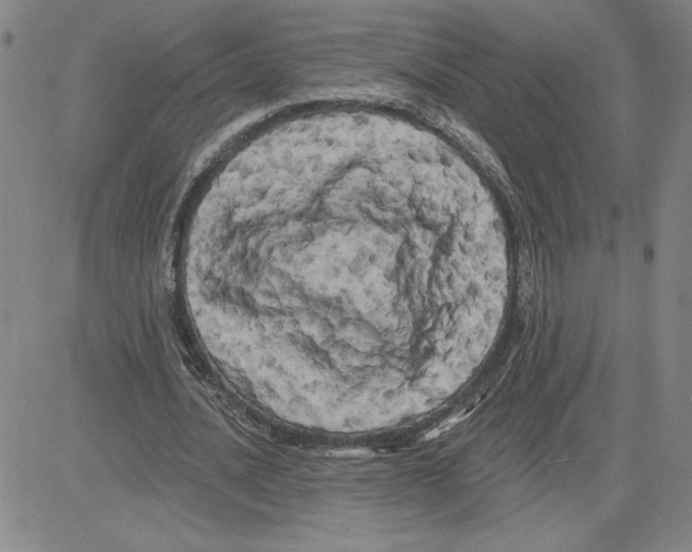 X0000080100628200701051305