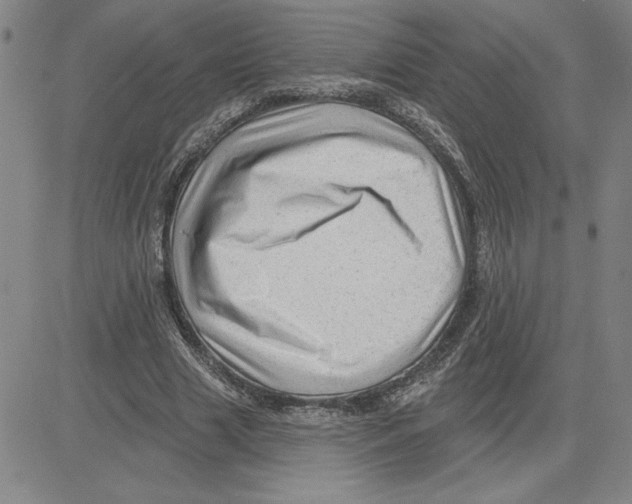 X0000080100633200701051305