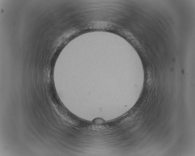 X0000080100636200701051305