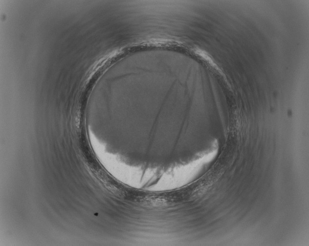 X0000080100640200701051306