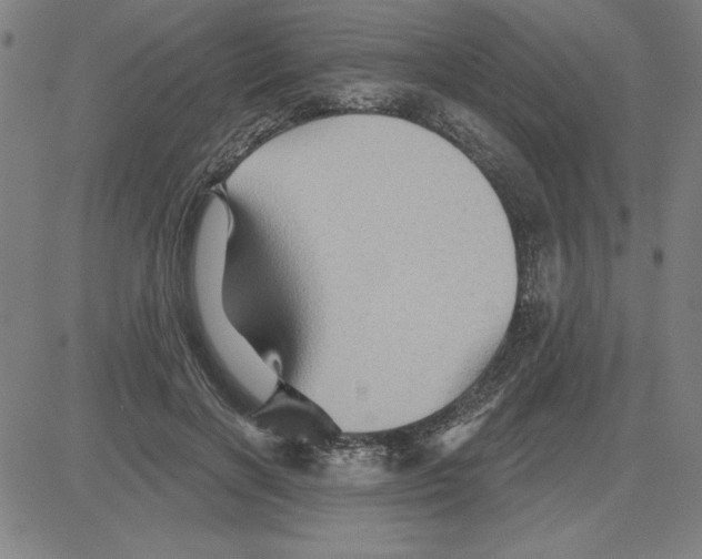 X0000080100646200701051306