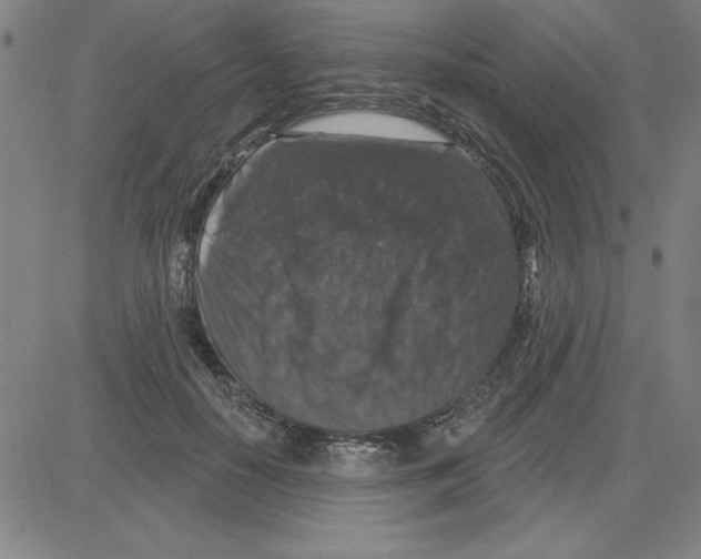 X0000080100650200701051306