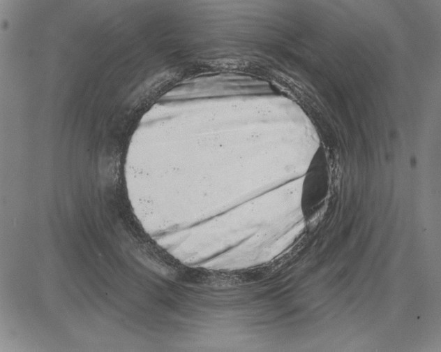 X0000080100652200701051306