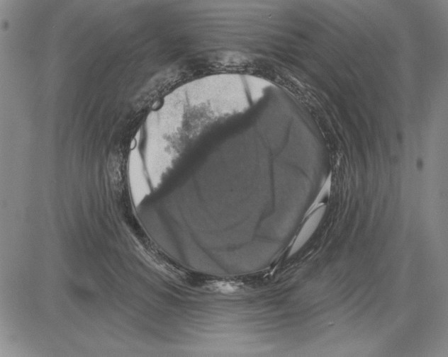 X0000080100654200701051306