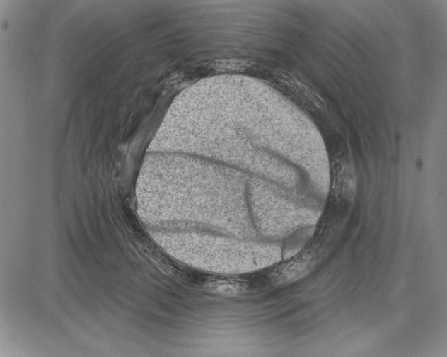 X0000080100655200701051306