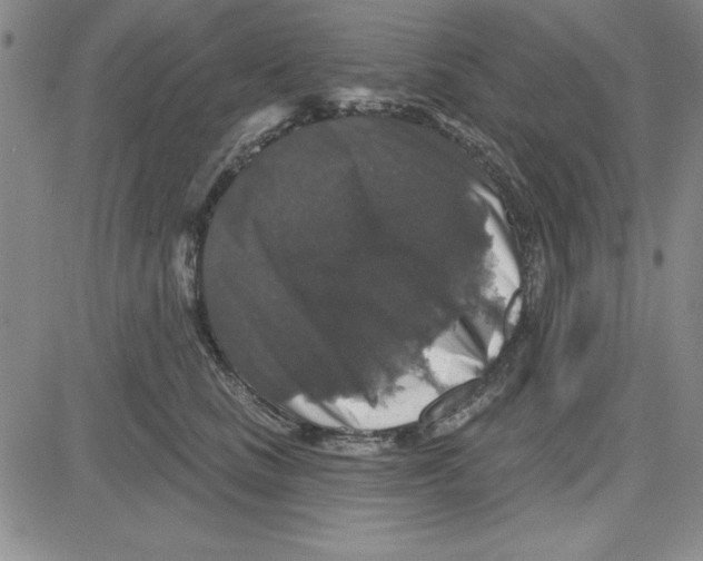 X0000080100661200701051306