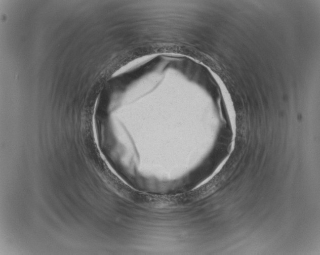 X0000080100662200701051306