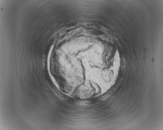 X0000080100664200701051306