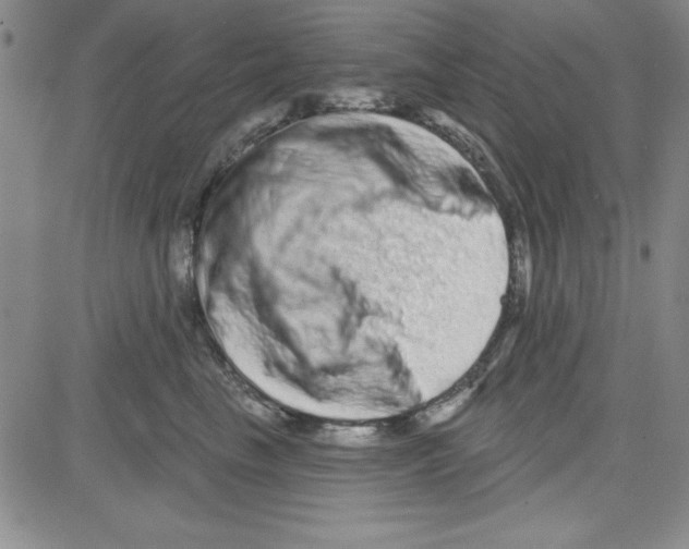 X0000080100665200701051306