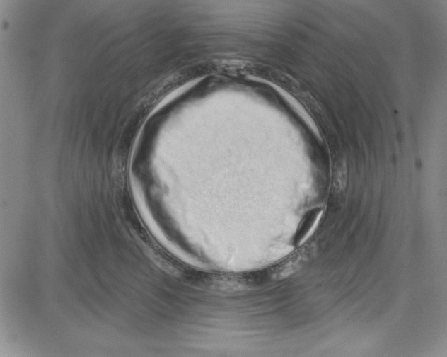 X0000080100666200701051306