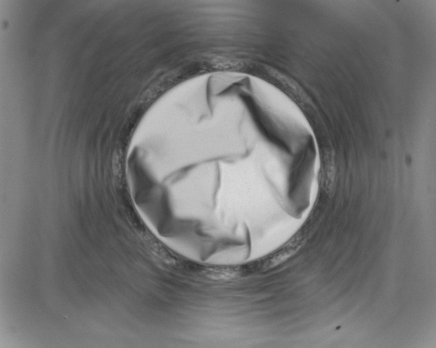 X0000080100667200701051306