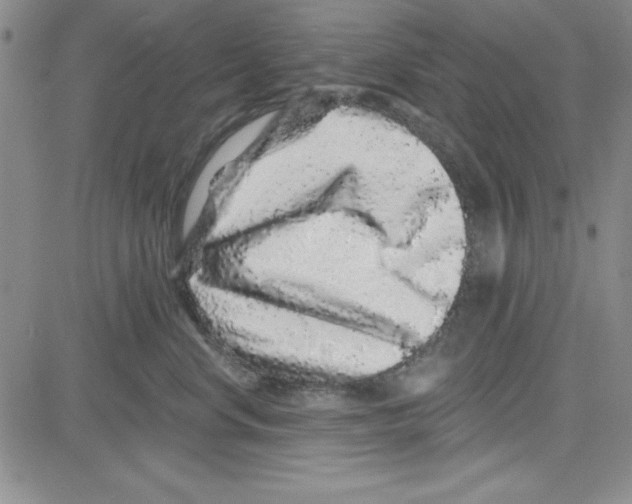 X0000080100668200701051306