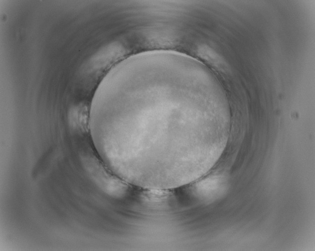X0000080100672200701051306